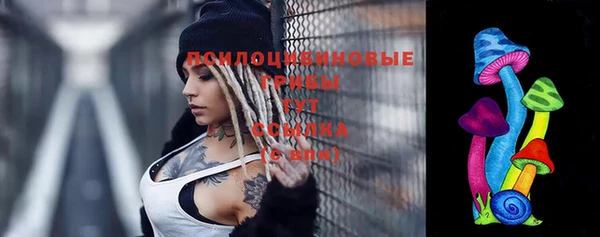 а пвп мука Абаза