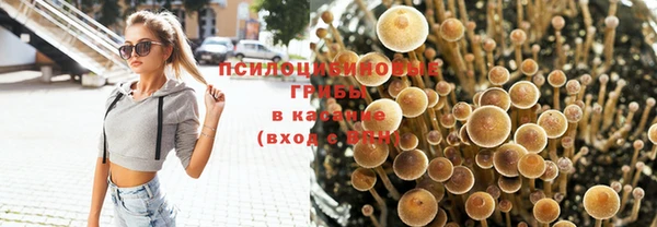 винт Алексеевка