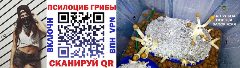 Псилоцибиновые грибы GOLDEN TEACHER  Красавино 